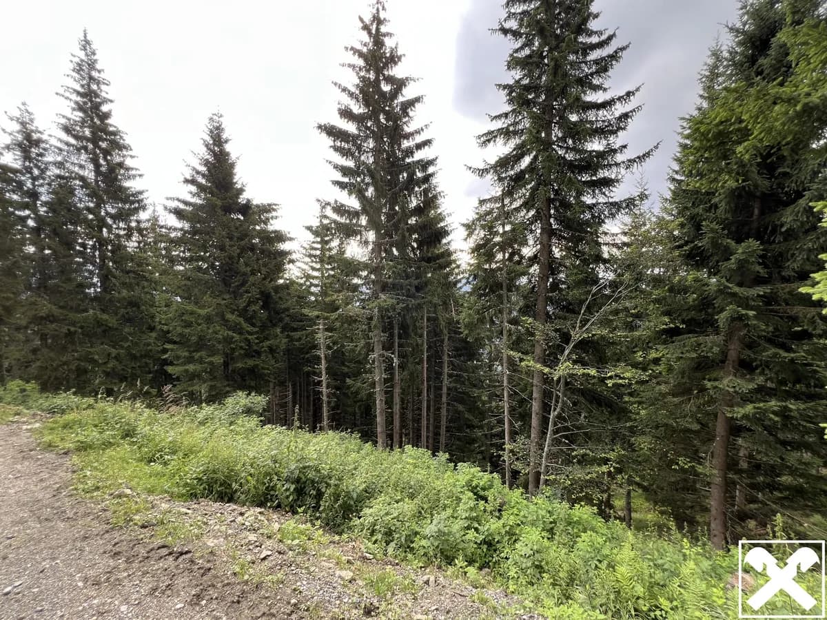 Grundstück kaufen in Villach Land – 40 568 m², € 98.000 – Bild 1 von 15