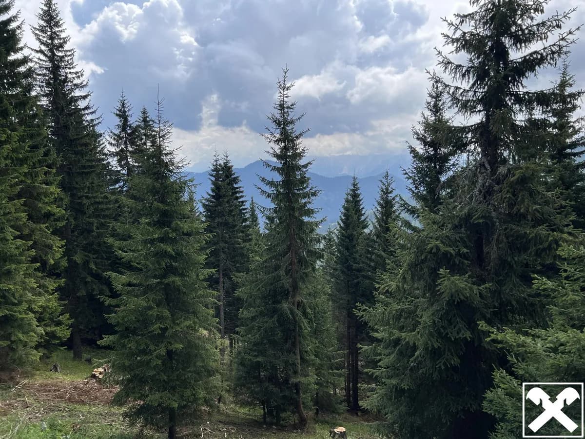 Grundstück kaufen in Villach Land – 40 568 m², € 98.000 – Bild 3 von 15