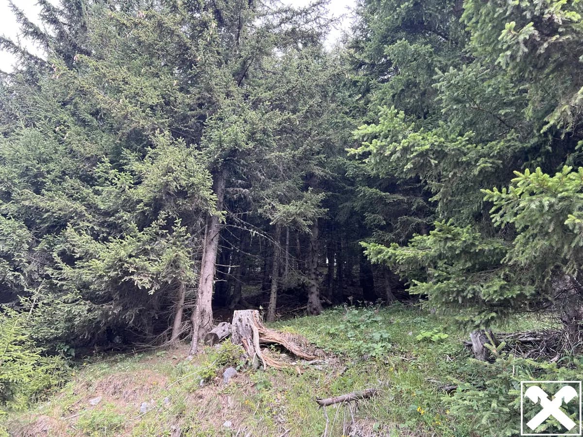 Grundstück kaufen in Villach Land – 40 568 m², € 98.000 – Bild 4 von 15