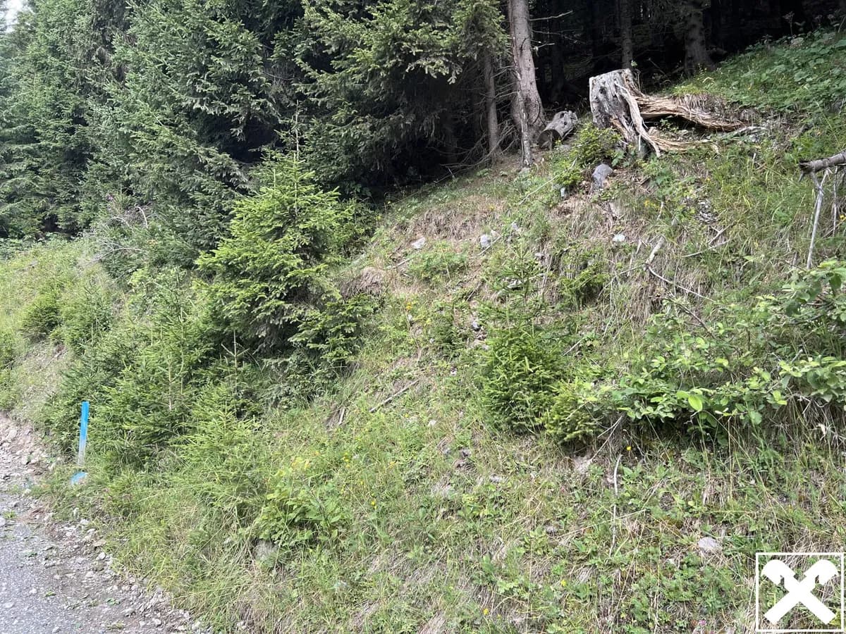 Grundstück kaufen in Villach Land – 40 568 m², € 98.000 – Bild 5 von 15