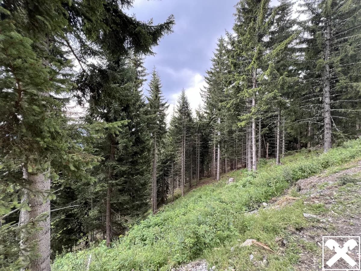 Grundstück kaufen in Villach Land – 40 568 m², € 98.000 – Bild 6 von 15