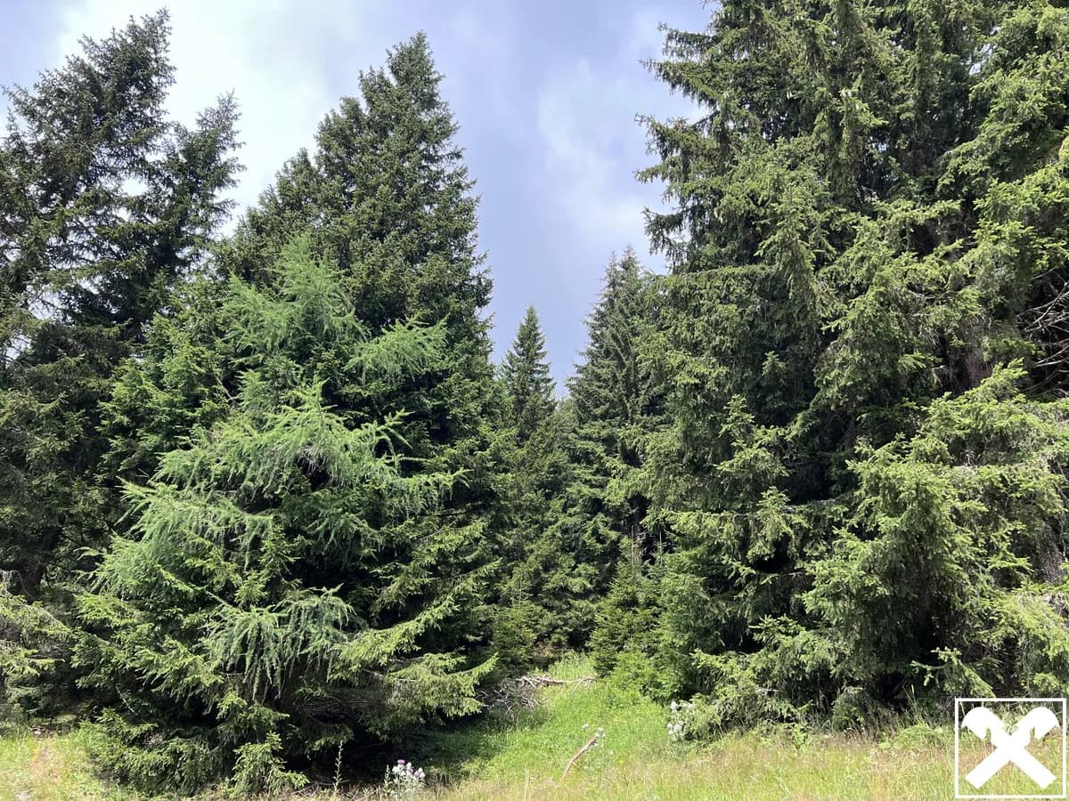 Grundstück kaufen in Villach Land – 40 568 m², € 98.000 – Bild 7 von 15
