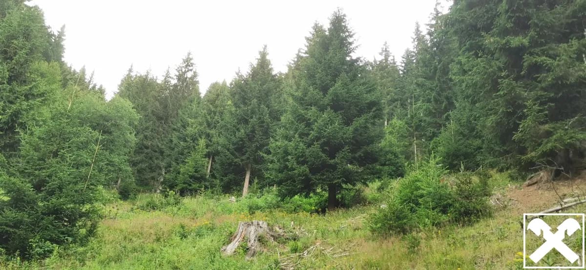 Grundstück kaufen in Villach Land – 40 568 m², € 98.000 – Bild 9 von 15