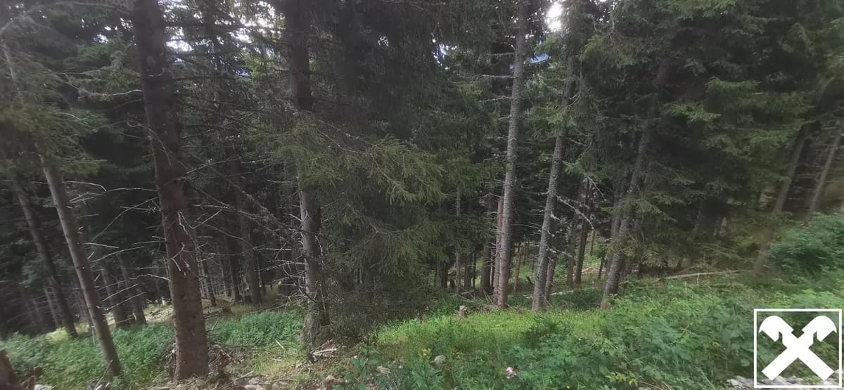 Grundstück kaufen in Villach Land – 40 568 m², € 98.000 – Bild 11 von 15