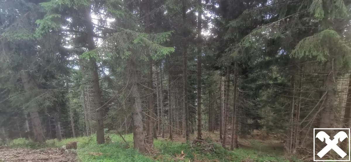 Grundstück kaufen in Villach Land – 40 568 m², € 98.000 – Bild 12 von 15