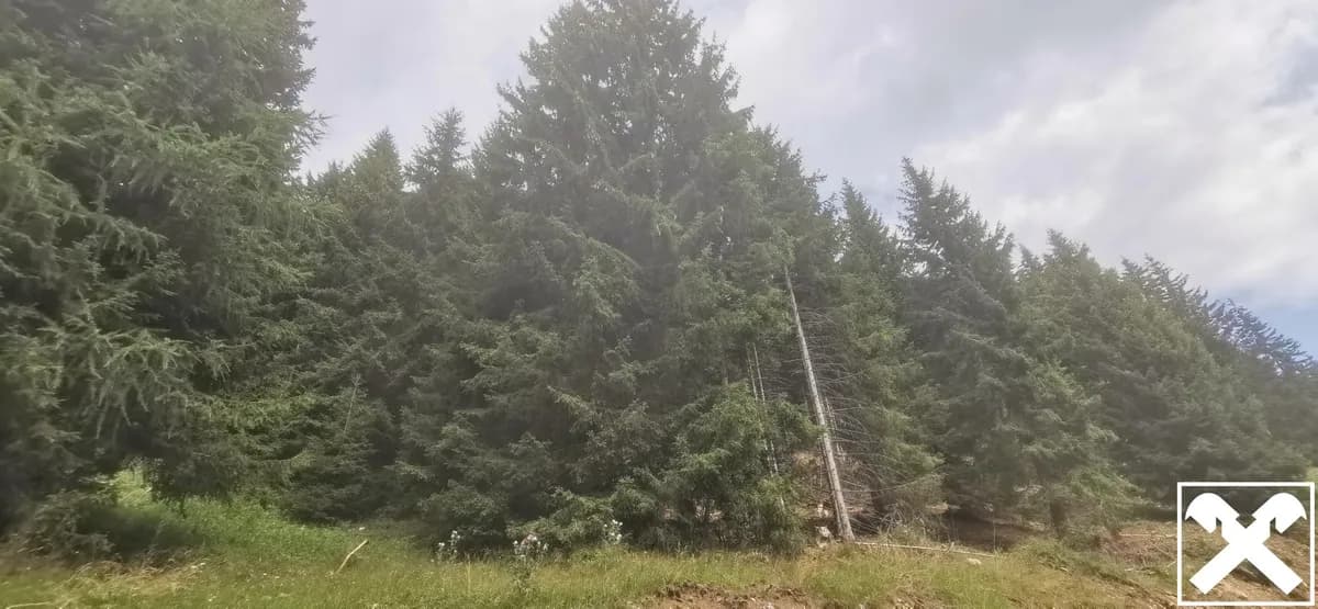 Grundstück kaufen in Villach Land – 40 568 m², € 98.000 – Bild 13 von 15