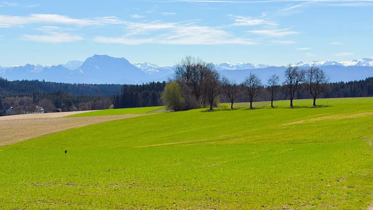Grundstück kaufen in Vöcklabruck – 554 m², € 125.000 – Bild 7 von 7