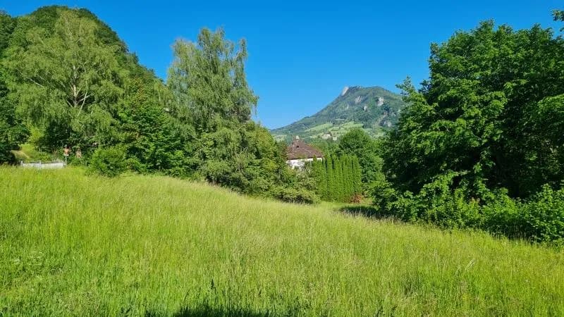 Grundstück kaufen in Steyr-Land – 4 488 m², € 762.960 – Bild 3 von 4
