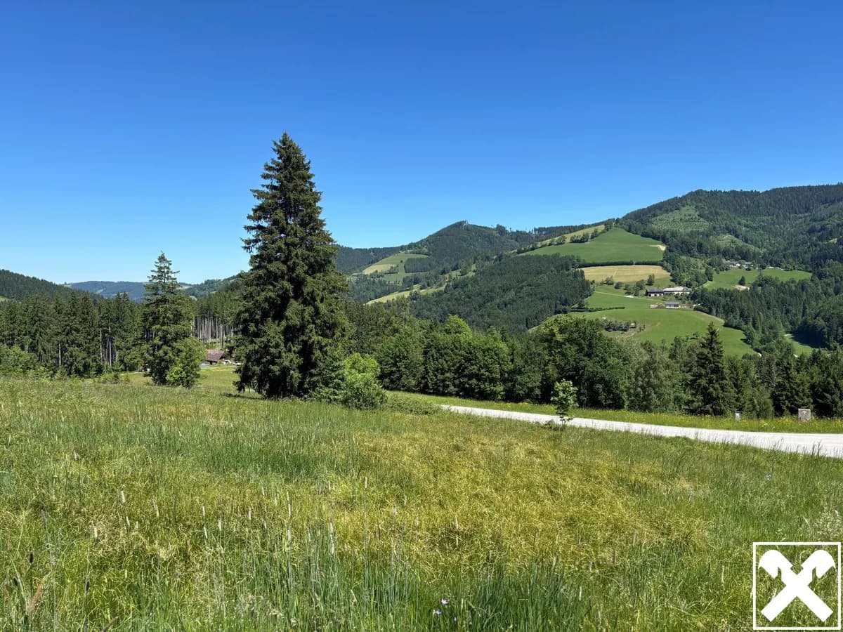 Grundstück kaufen in Kirchdorf an der Krems – 3 850 m², € 195.000