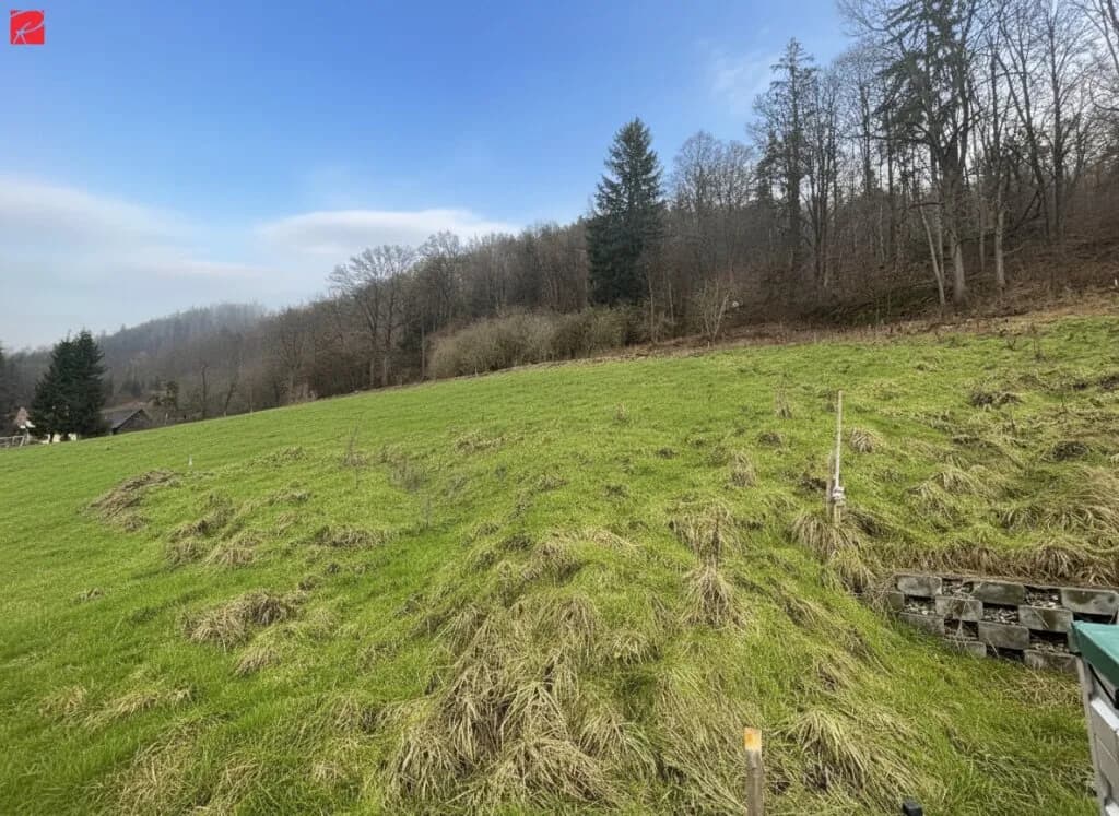 Grundstück kaufen in Graz-Umgebung – 1 023 m², € 300.000 – Bild 1 von 4