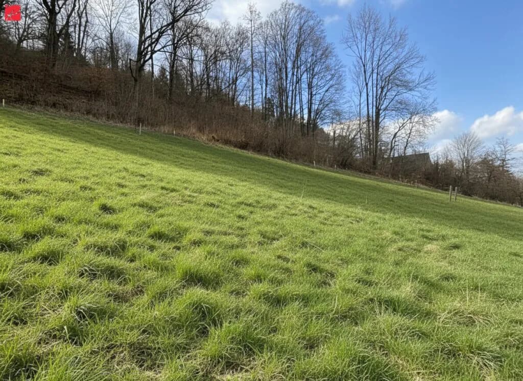 Grundstück kaufen in Graz-Umgebung – 1 023 m², € 300.000 – Bild 2 von 4