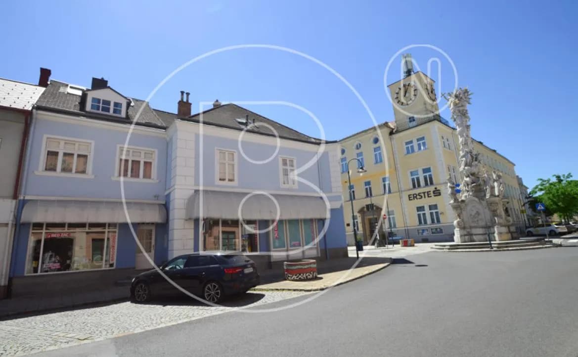 Immobilie kaufen in Gänserndorf – 986 m², € 1.000.000 – Bild 4 von 44