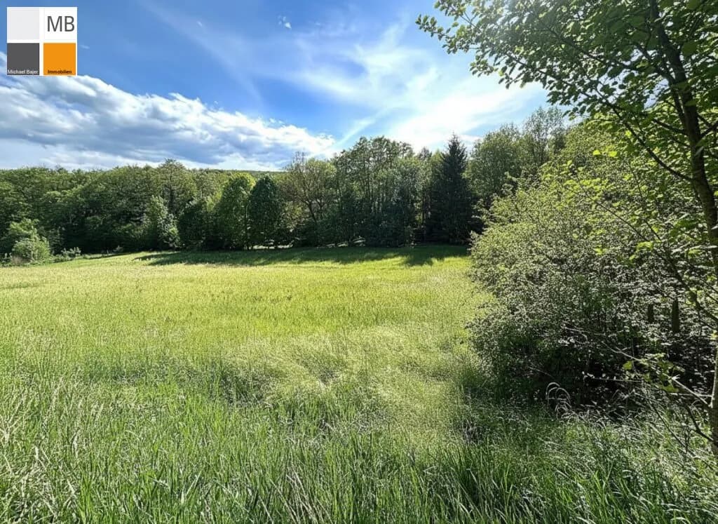 Grundstück kaufen in Baden – 916 m², € 250.000 – Bild 4 von 7