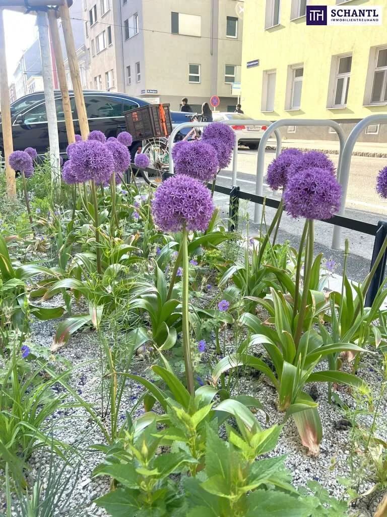 2-Zimmer-Wohnung kaufen in Wien – 41,25 m², € 136.125 – Bild 8 von 10