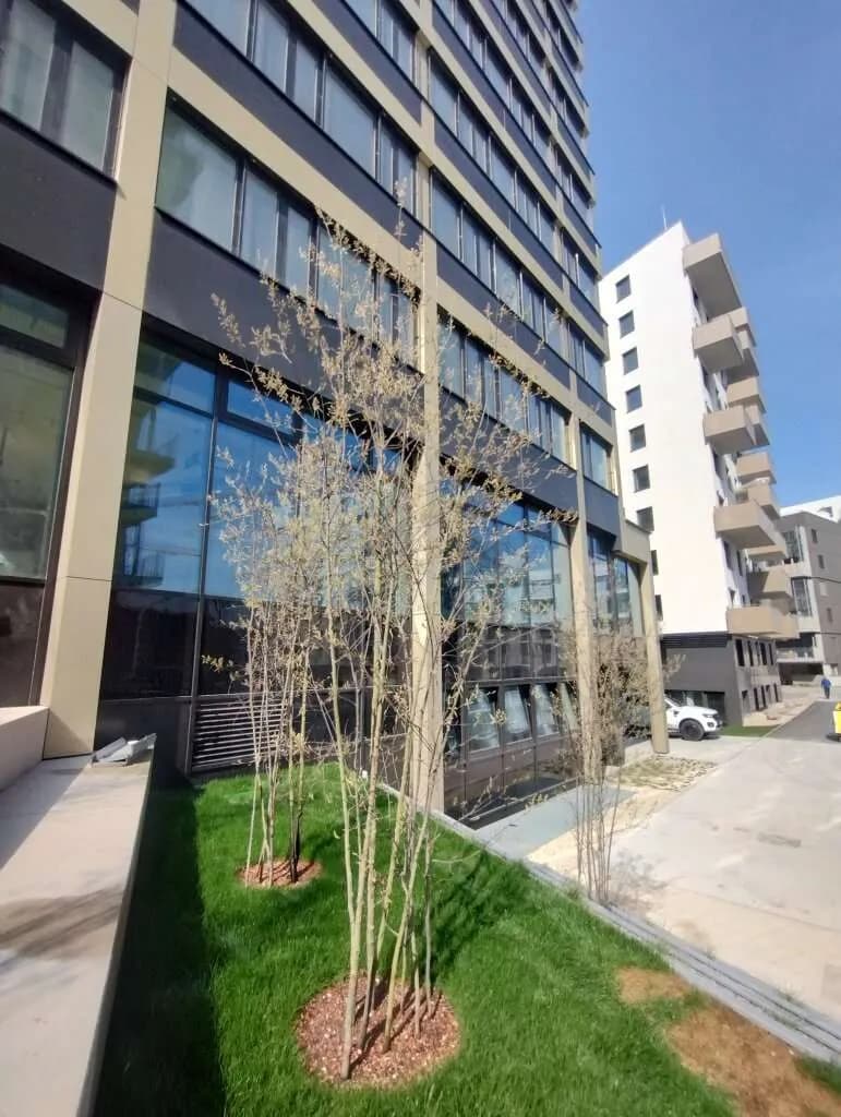 Gewerbeimmobilie mieten in Wien – 360 m², € 9.087 – Bild 3 von 7