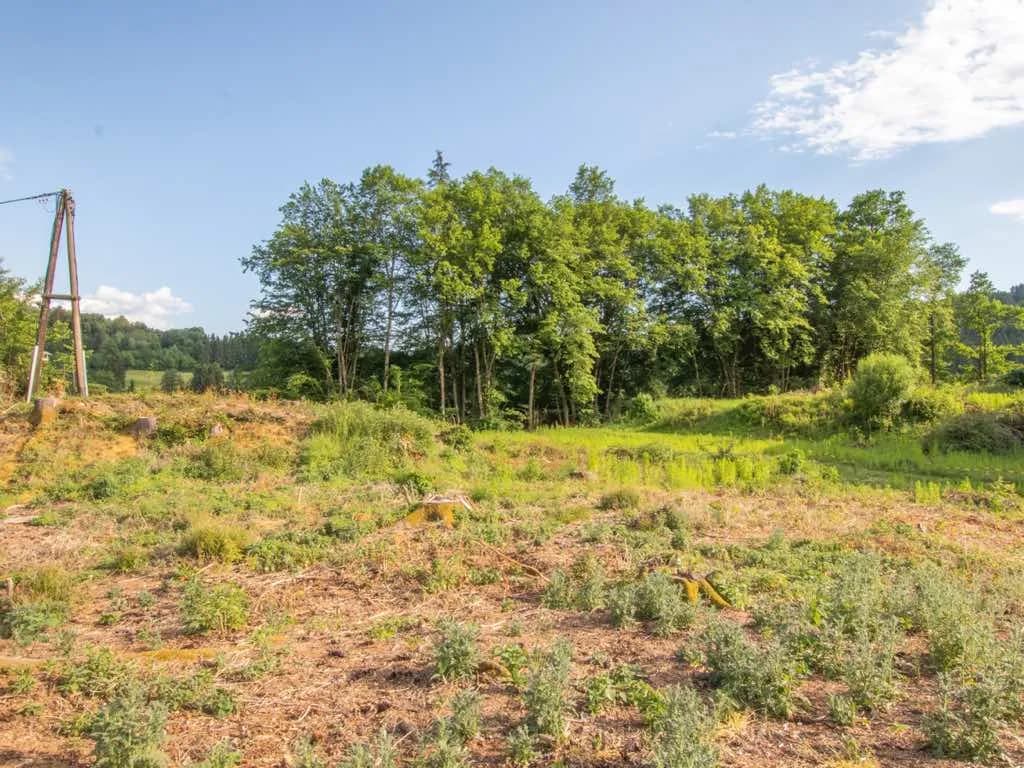Grundstück kaufen in Klagenfurt Land – 2 057 m², € 199.000 – Bild 7 von 16