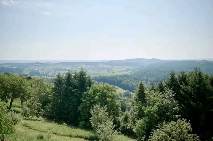 Haus kaufen in Leibnitz – 456 m² – Bild 22 von 26