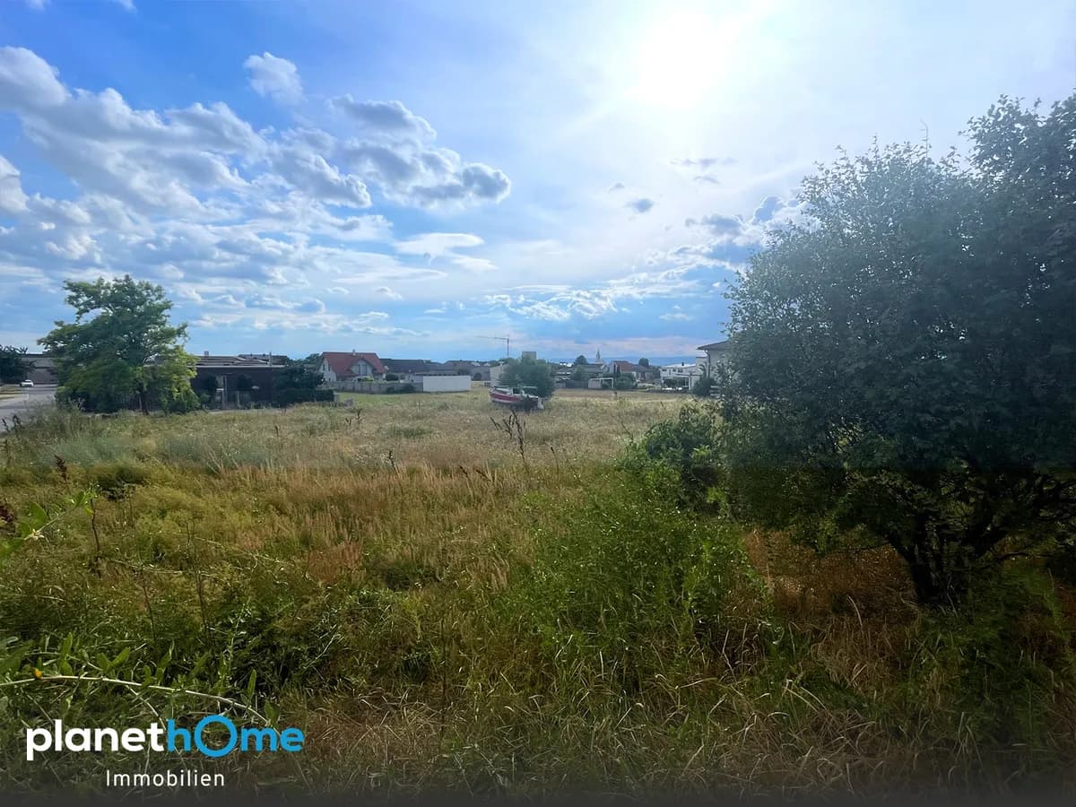 Grundstück kaufen in Neusiedl am See – 1 331 m², € 519.000 – Bild 3 von 5