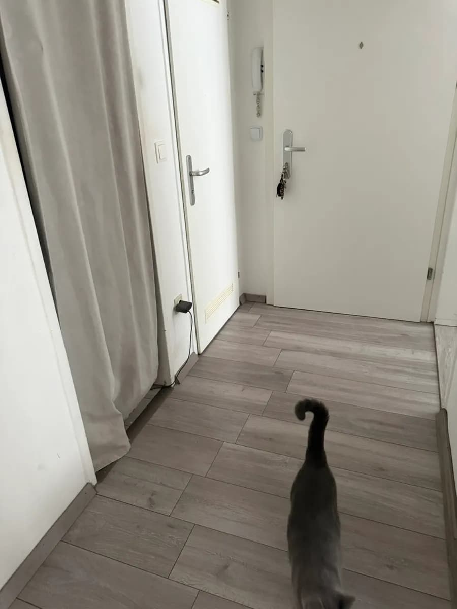 2-Zimmer-Wohnung mieten in Wien – 53 m², € 596 – Bild 13 von 23
