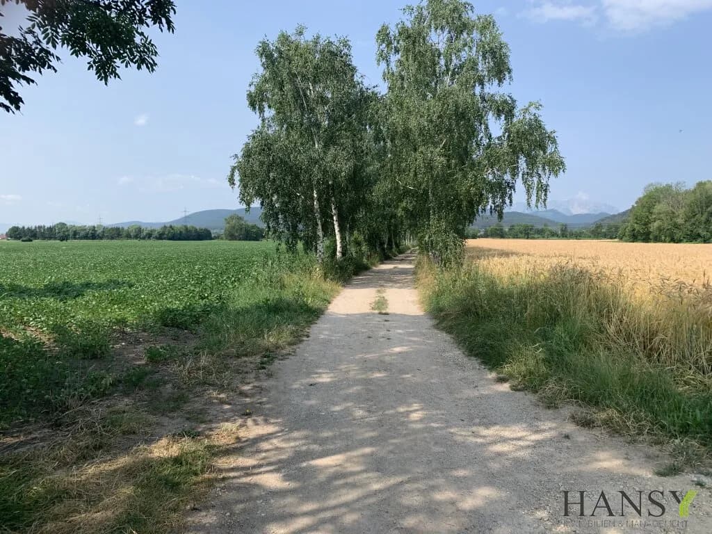 Immobilie kaufen in Neunkirchen – 314 000 m², € 1.990.000