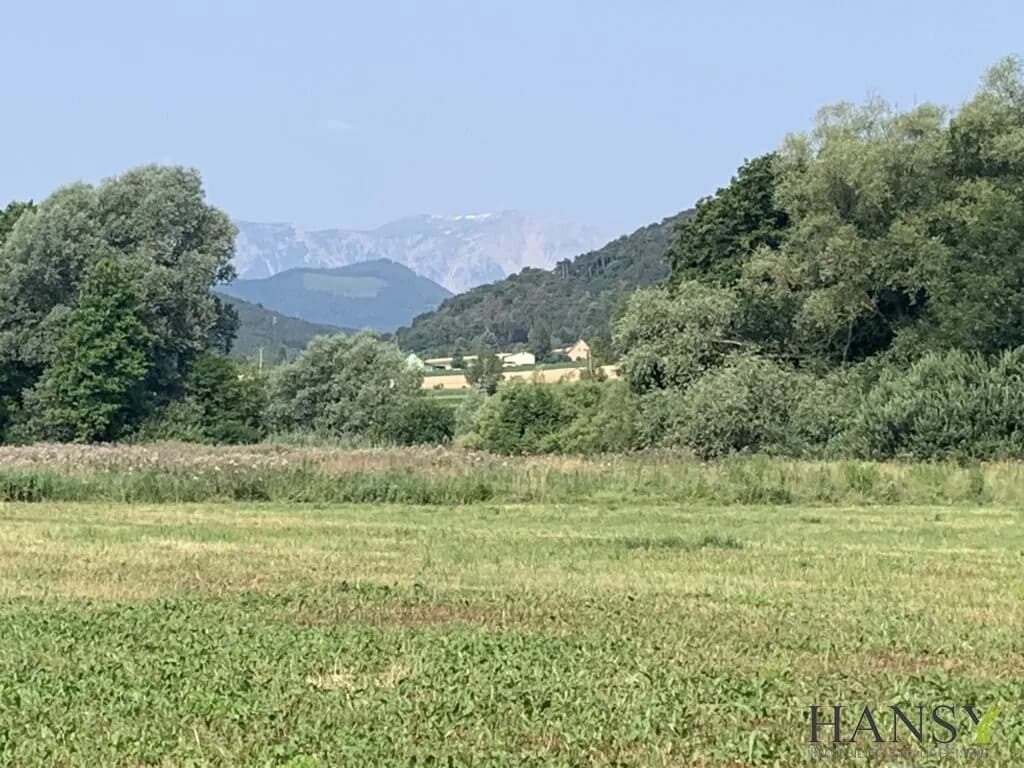 Immobilie kaufen in Neunkirchen – 314 000 m², € 1.990.000 – Bild 3 von 9