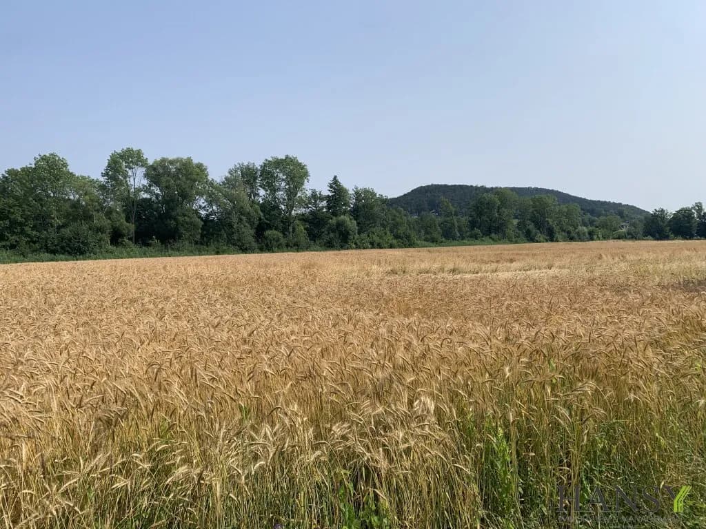 Immobilie kaufen in Neunkirchen – 314 000 m², € 1.990.000 – Bild 5 von 9