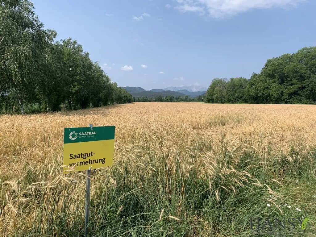 Immobilie kaufen in Neunkirchen – 314 000 m², € 1.990.000 – Bild 6 von 9