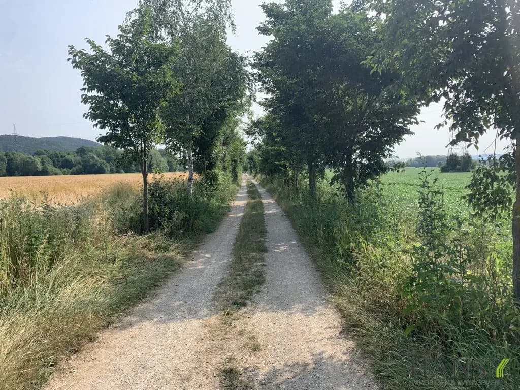 Immobilie kaufen in Neunkirchen – 314 000 m², € 1.990.000 – Bild 9 von 9