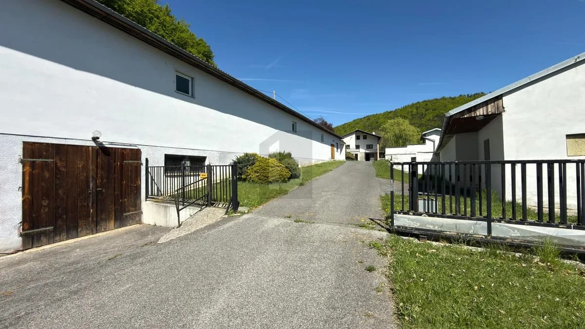 5-Zimmer-Haus kaufen in Wiener Neustadt Land – 133 m² – Bild 3 von 6
