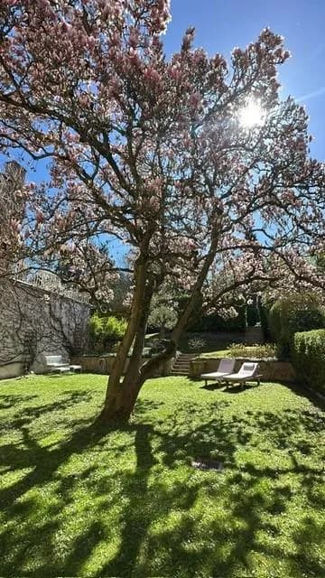 10-Zimmer-Haus mieten in Wien – 350 m², € 10.660 – Bild 10 von 20