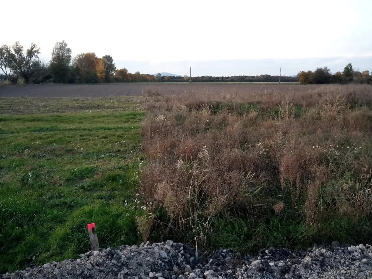 Grundstück kaufen in Baden – 684 m², € 280.000 – Bild 5 von 7