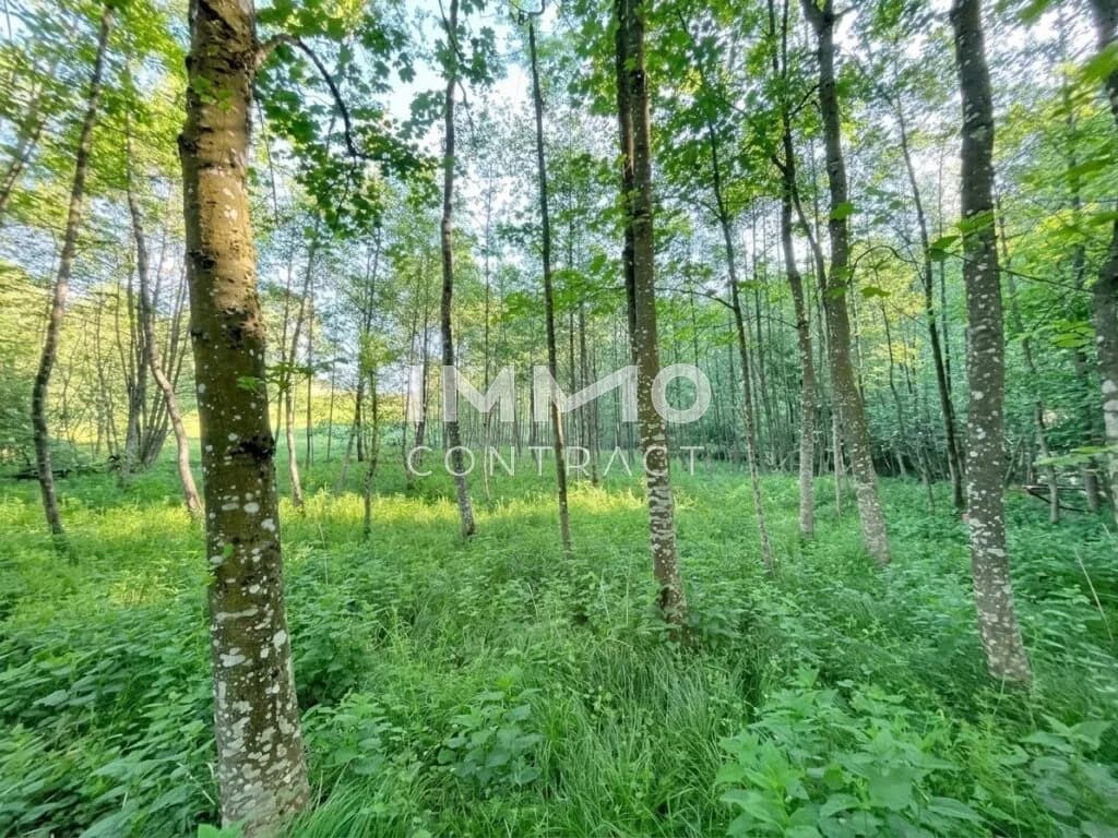 Grundstück kaufen in Amstetten – 6 938 m², € 30.000