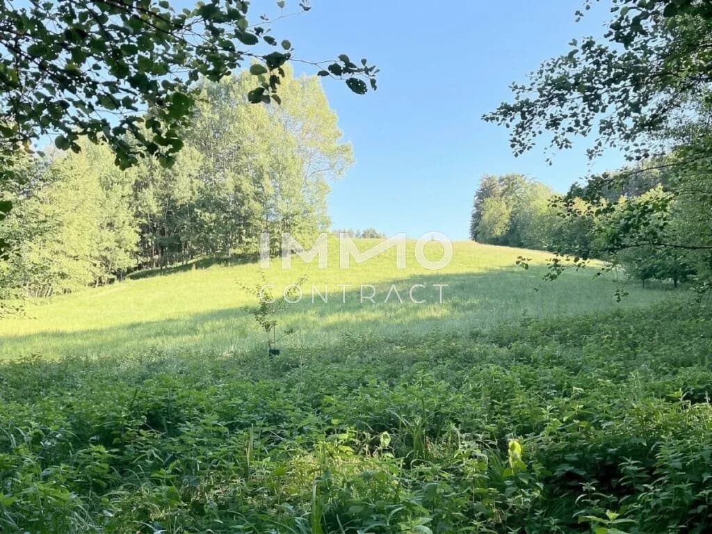 Grundstück kaufen in Amstetten – 6 938 m², € 30.000 – Bild 2 von 9