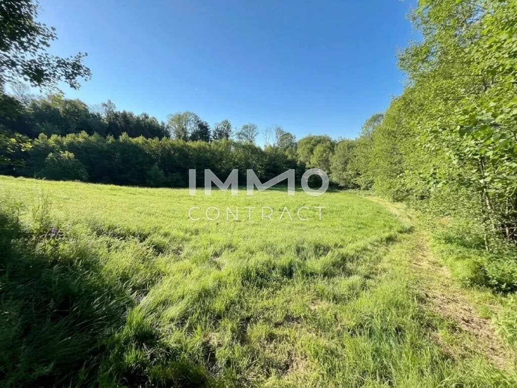 Grundstück kaufen in Amstetten – 6 938 m², € 30.000 – Bild 4 von 9