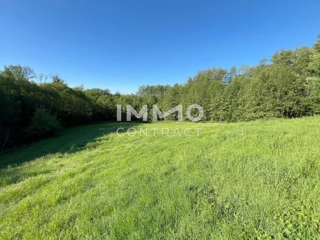 Grundstück kaufen in Amstetten – 6 938 m², € 30.000 – Bild 5 von 9
