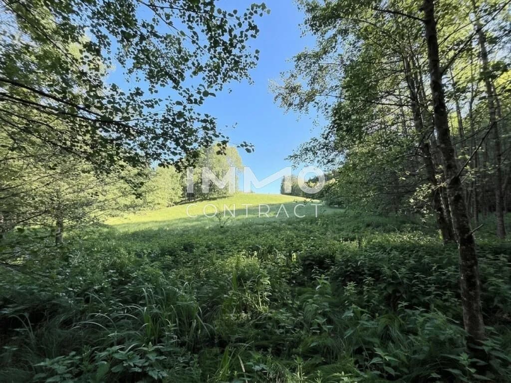 Grundstück kaufen in Amstetten – 6 938 m², € 30.000 – Bild 7 von 9