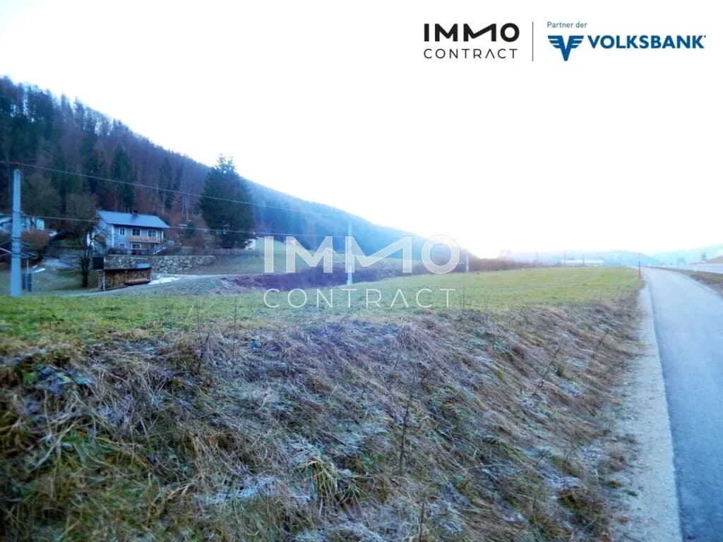 Immobilie kaufen in Steyr-Land – 4 568 m², € 195.000 – Bild 14 von 17