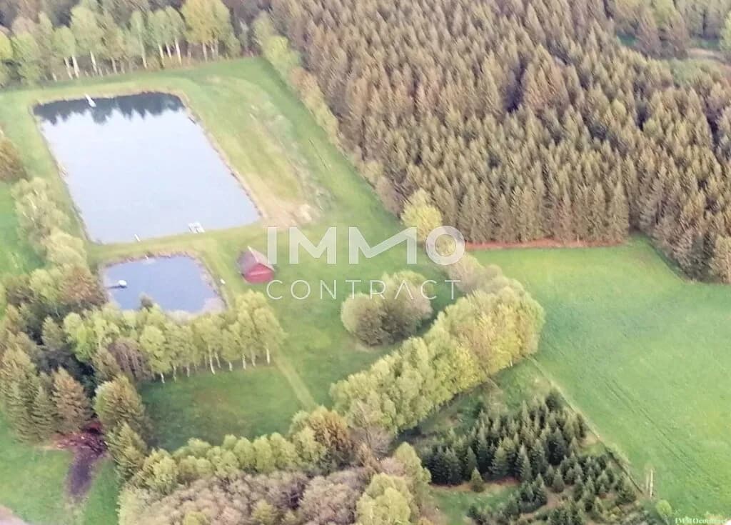 Grundstück kaufen in Zwettl – 19 929 m², € 280.000 – Bild 6 von 20