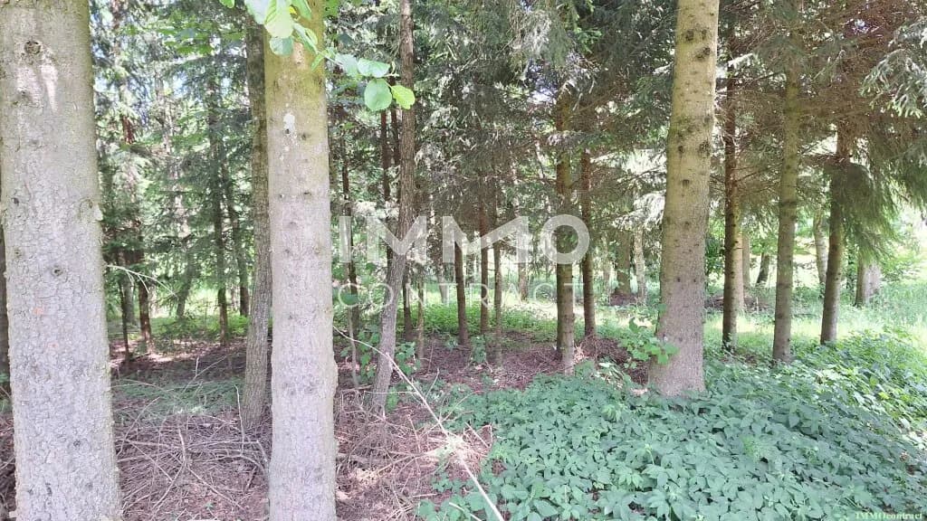 Grundstück kaufen in Zwettl – 19 929 m², € 280.000 – Bild 10 von 20