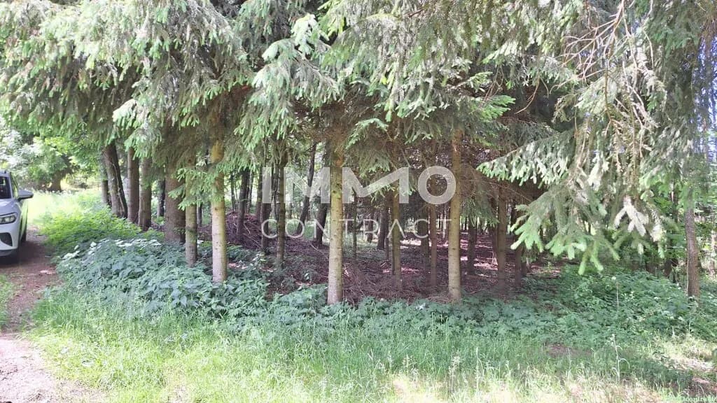 Grundstück kaufen in Zwettl – 19 929 m², € 280.000 – Bild 16 von 20