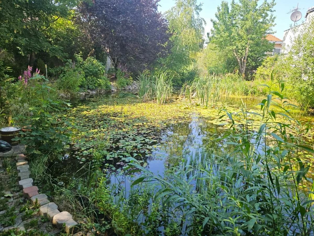 7-Zimmer-Immobilie kaufen in Baden – 500 m², € 1.500.000 – Bild 2 von 10