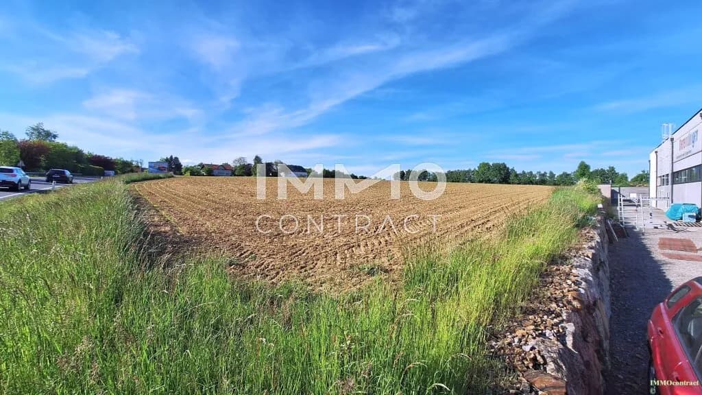 Immobilie kaufen in Scheibbs – 6 587 m², € 490.000 – Bild 2 von 6