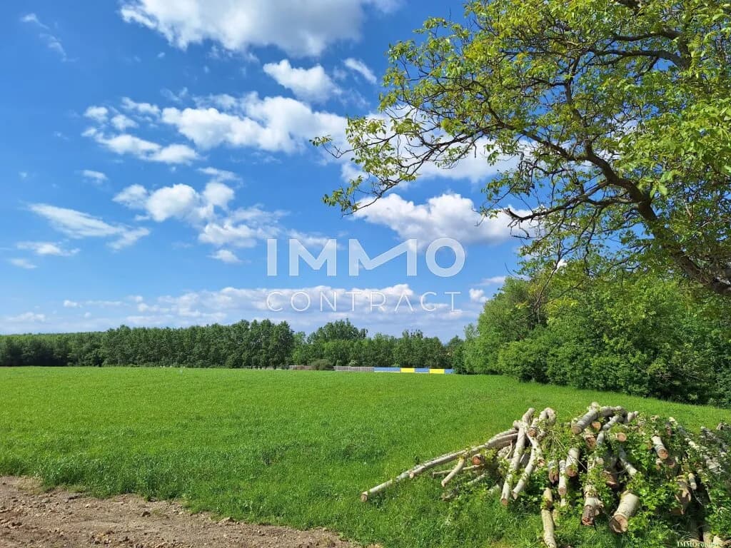 Gewerbeimmobilie kaufen in Amstetten – 4 872 m² – Bild 4 von 9