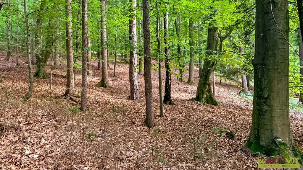 4-Zimmer-Haus kaufen in Südoststeiermark – 120 m², € 400.000 – Bild 21 von 28