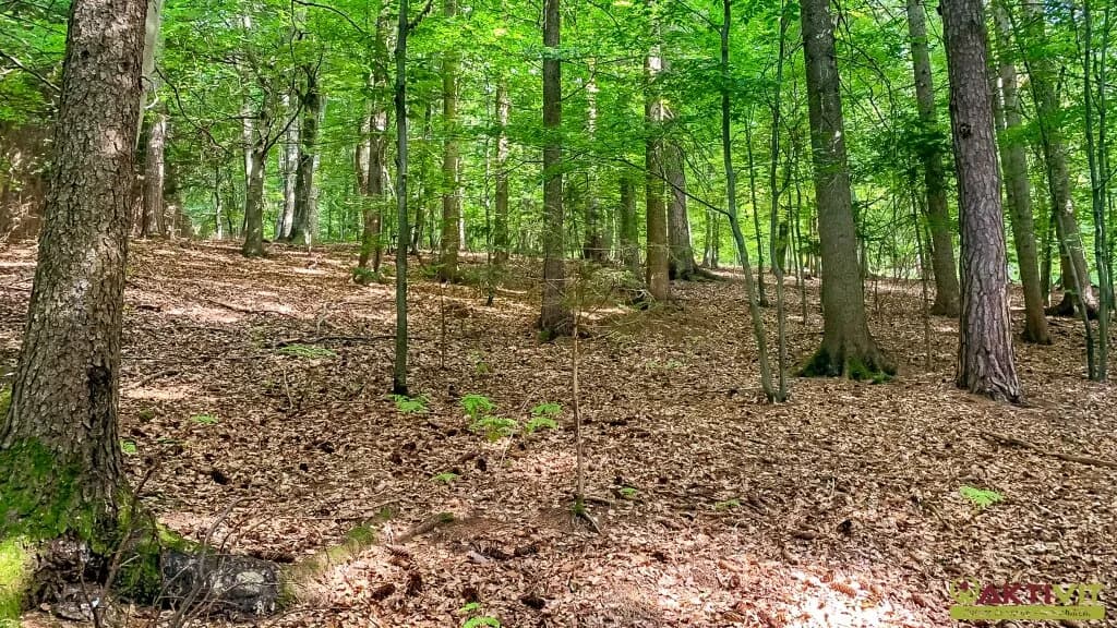 4-Zimmer-Haus kaufen in Südoststeiermark – 120 m², € 400.000 – Bild 22 von 28