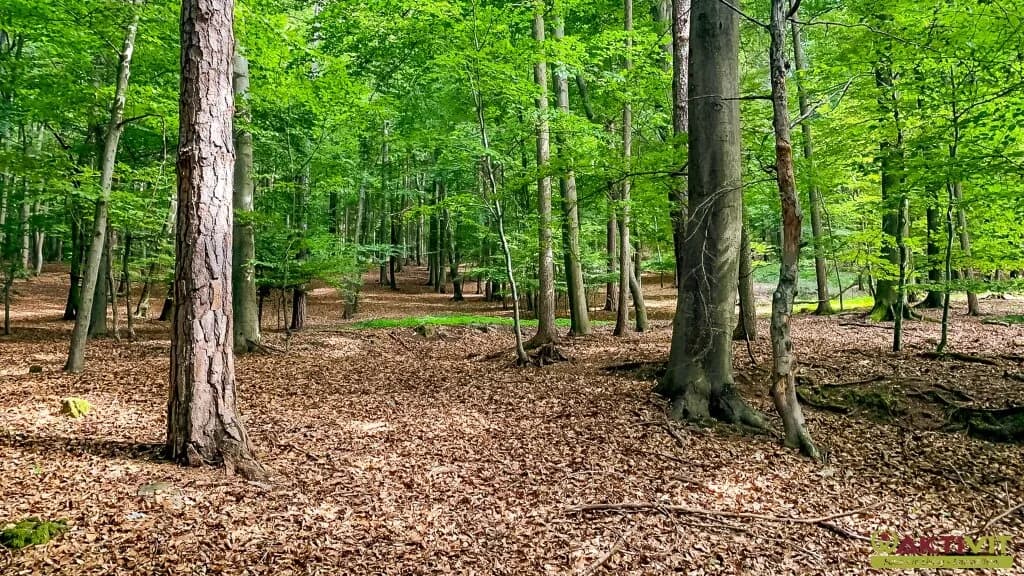 4-Zimmer-Haus kaufen in Südoststeiermark – 120 m², € 400.000 – Bild 23 von 28