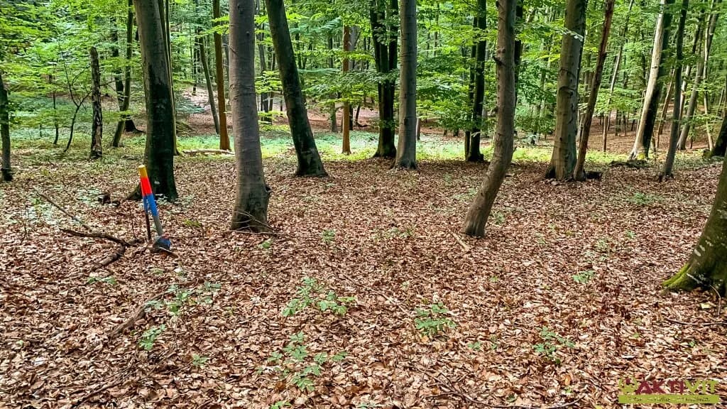 4-Zimmer-Haus kaufen in Südoststeiermark – 120 m², € 400.000 – Bild 24 von 28