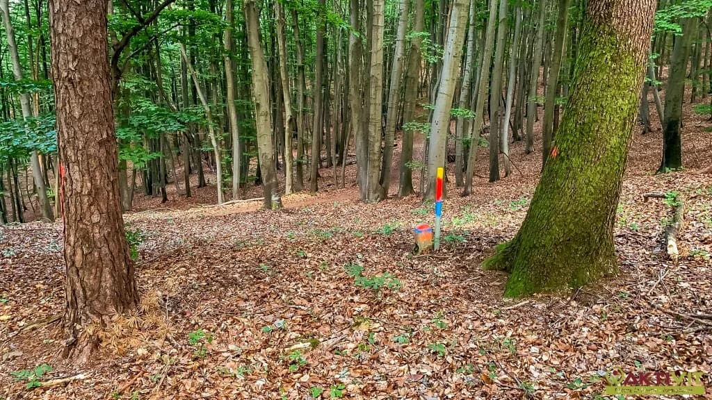 4-Zimmer-Haus kaufen in Südoststeiermark – 120 m², € 400.000 – Bild 25 von 28