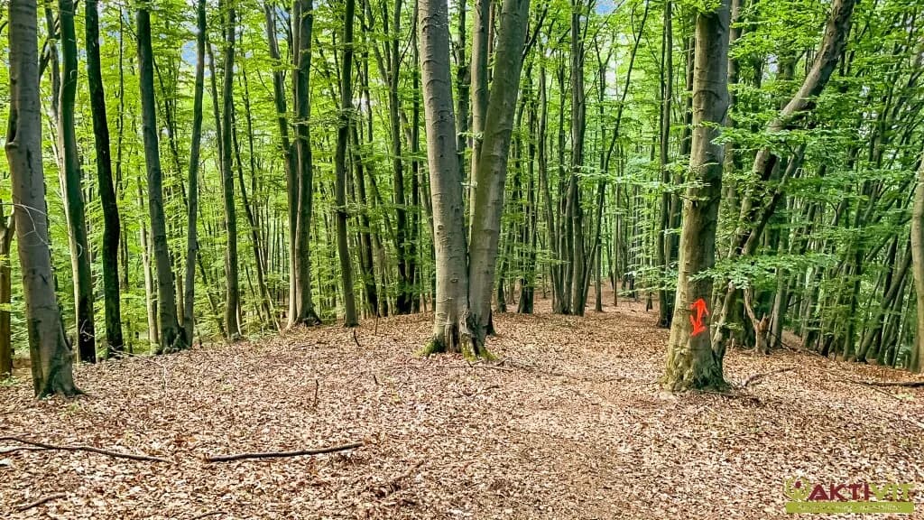 4-Zimmer-Haus kaufen in Südoststeiermark – 120 m², € 400.000 – Bild 26 von 28