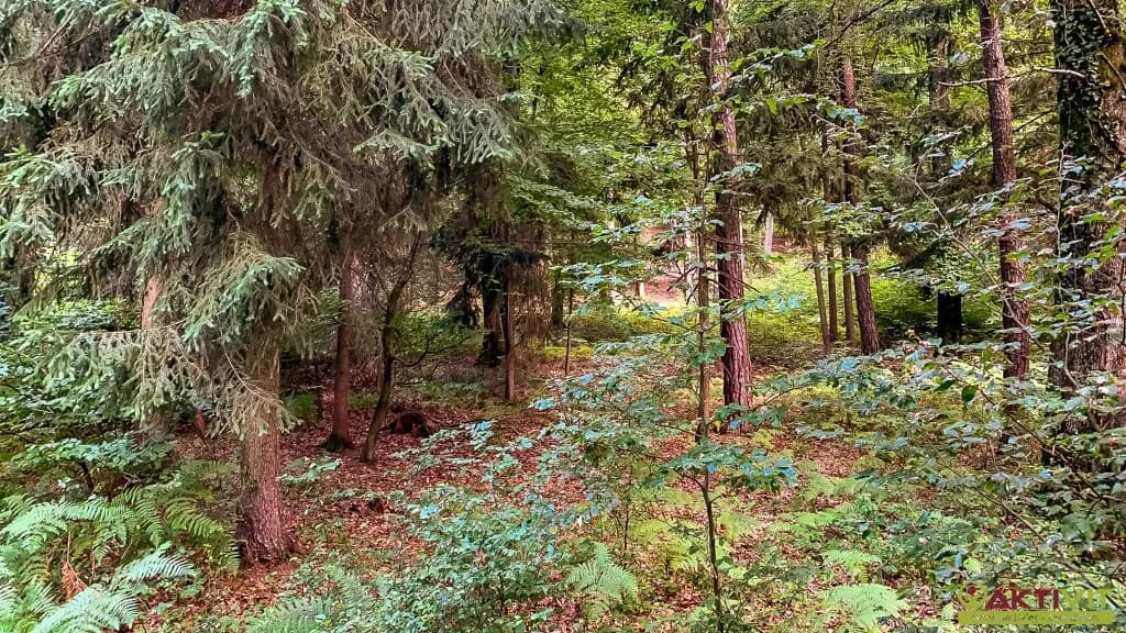 4-Zimmer-Haus kaufen in Südoststeiermark – 120 m², € 400.000 – Bild 27 von 28